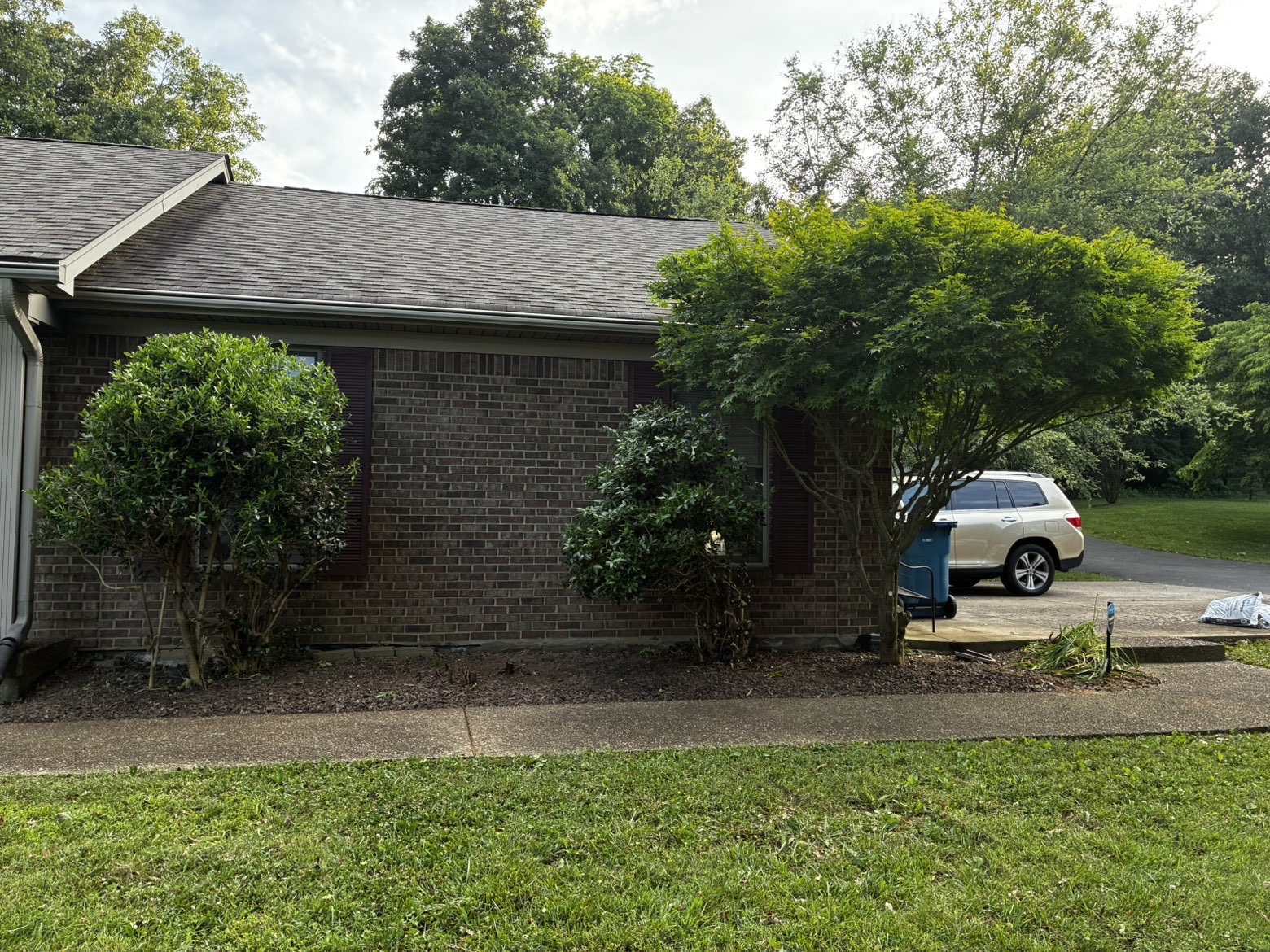 Neatly trimmed bushes revealing the house after ProMow
