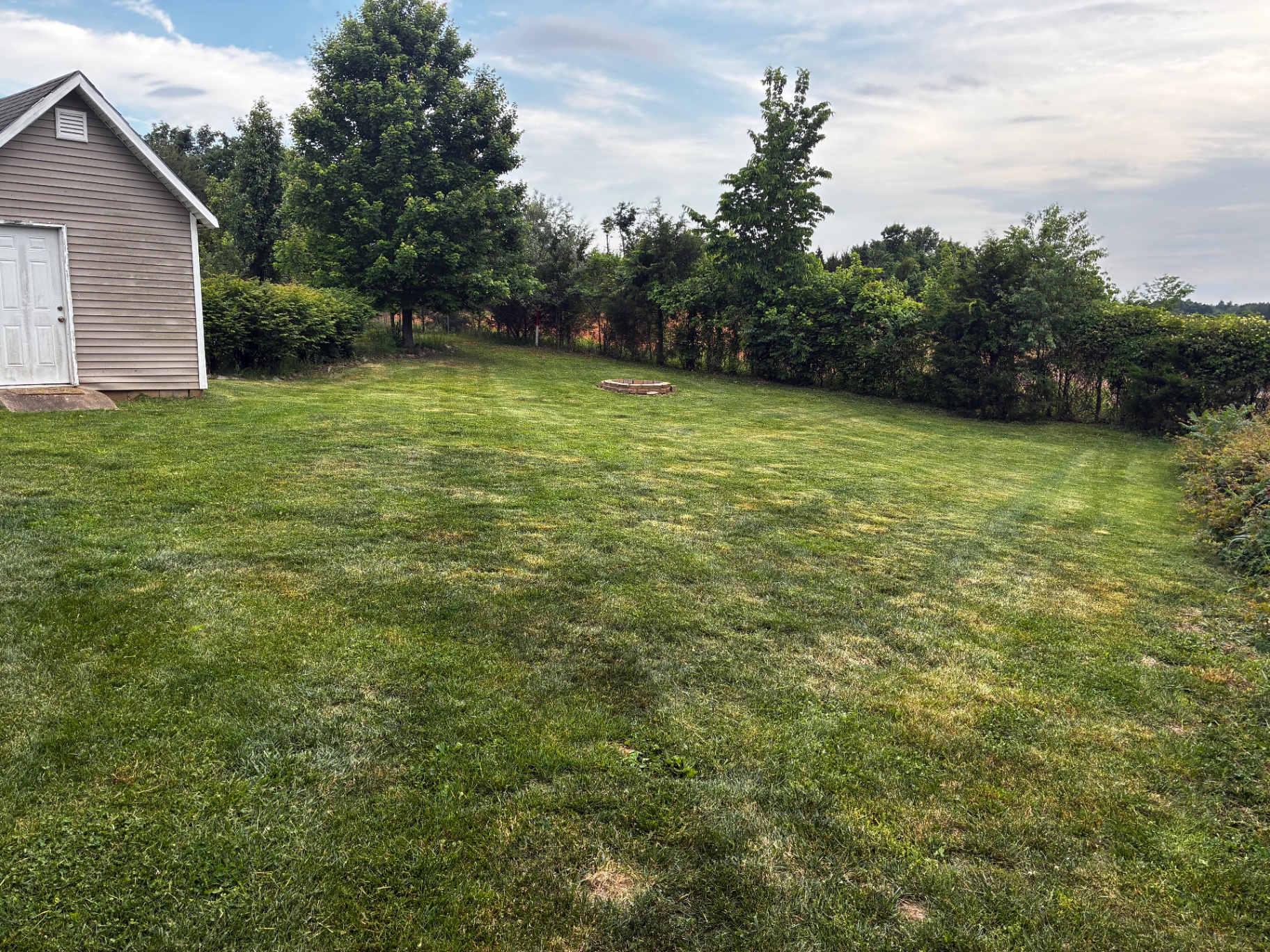 Freshly mowed backyard after ProMow