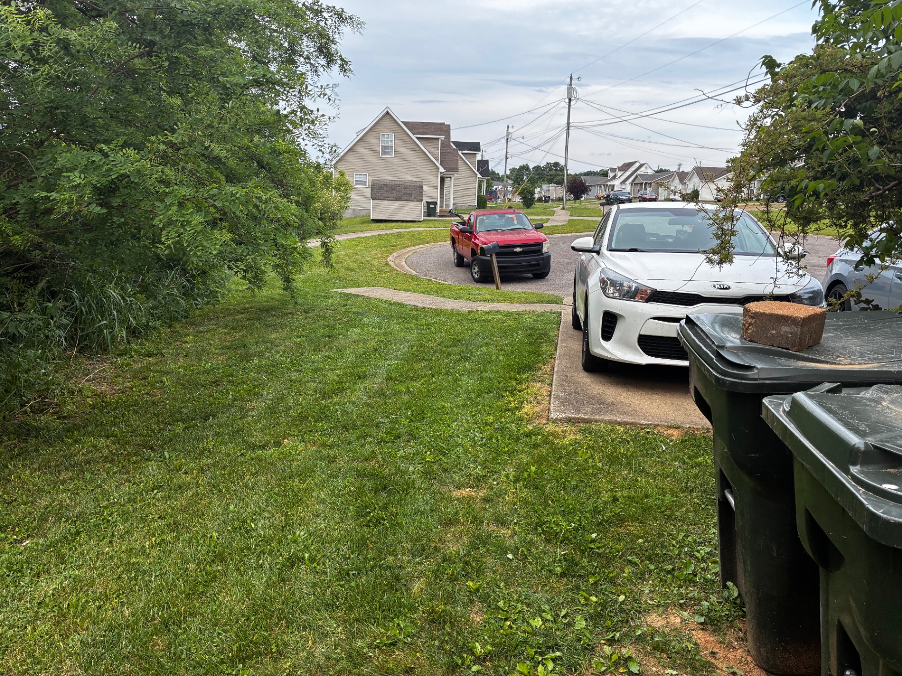 Tidy trimmed side yard after ProMow