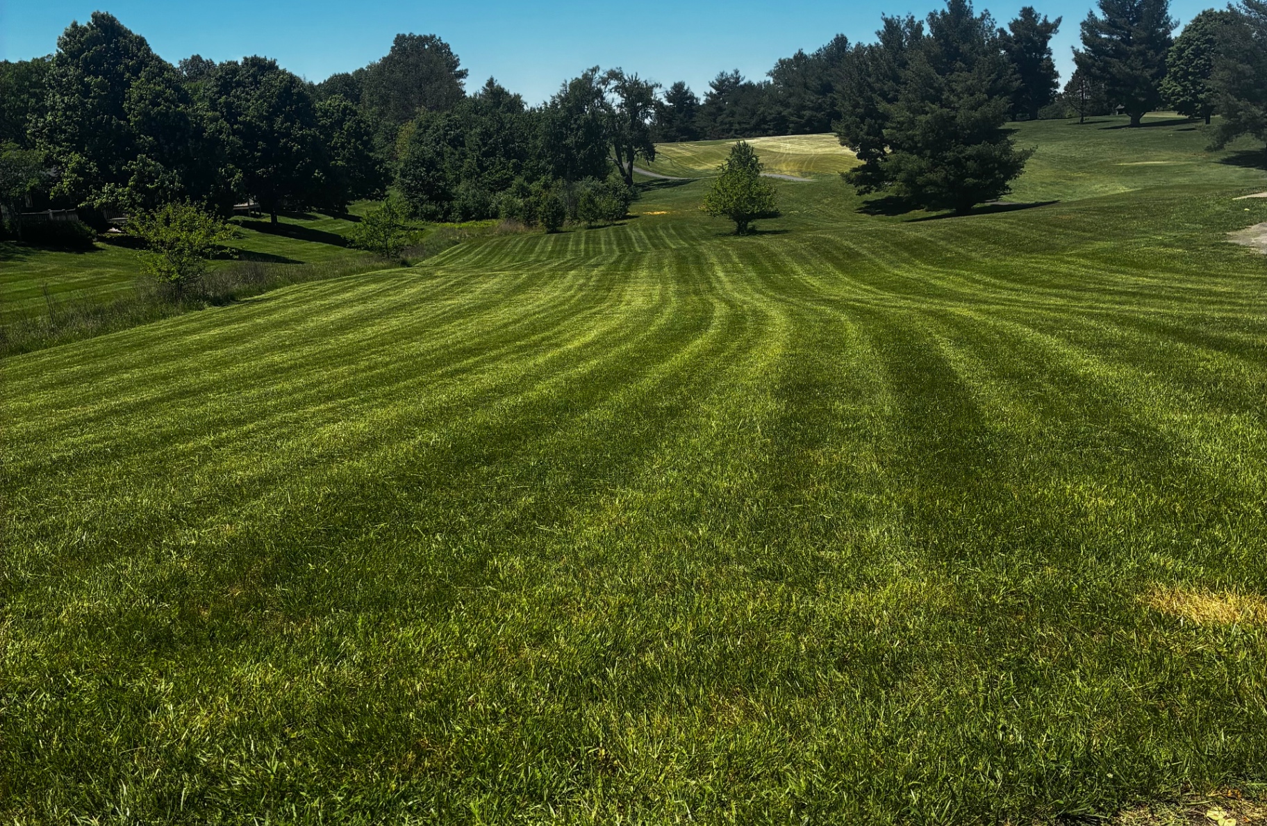 Sweeping hillside lawn with clean stripes after a ProMow cut